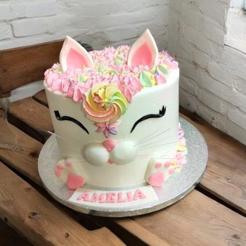 Cat Face Cake