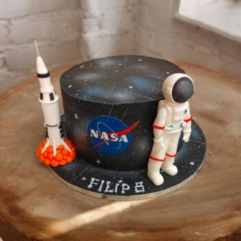 NASA Astronaut Cake