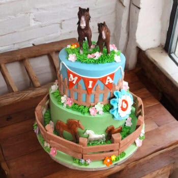 Cake for a horse lover