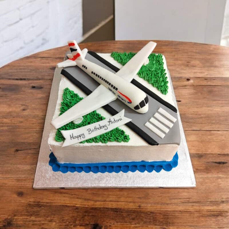 Airplane at the Airport Cake